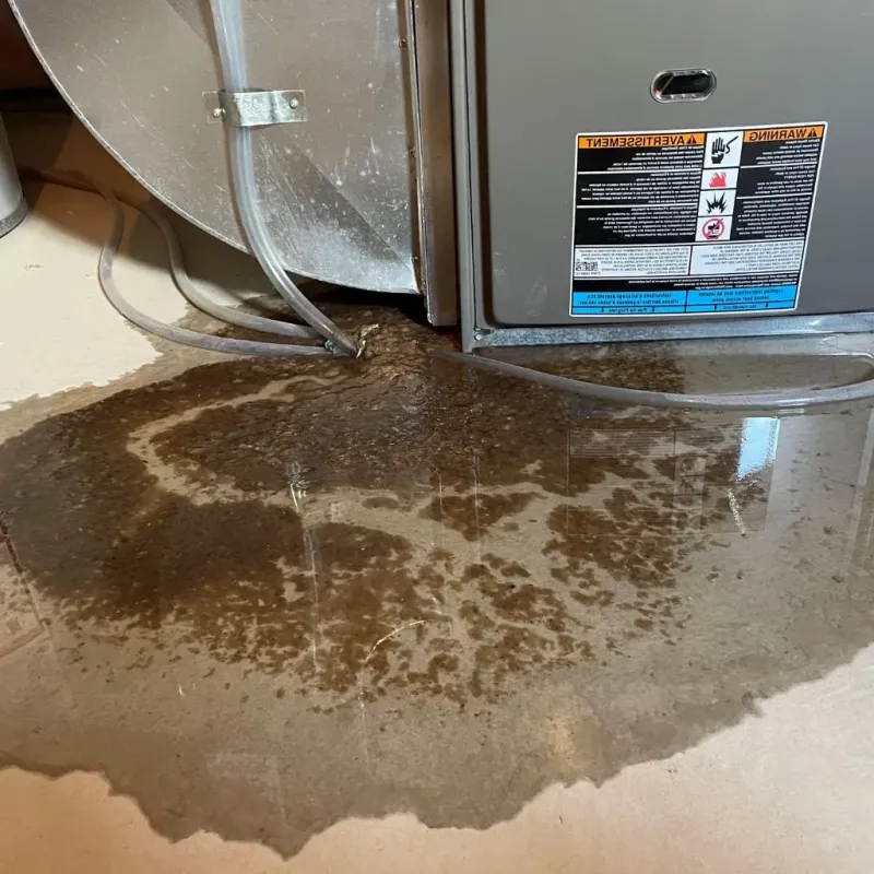 Pipe Burst and Leak Restoration in Warren County, PA