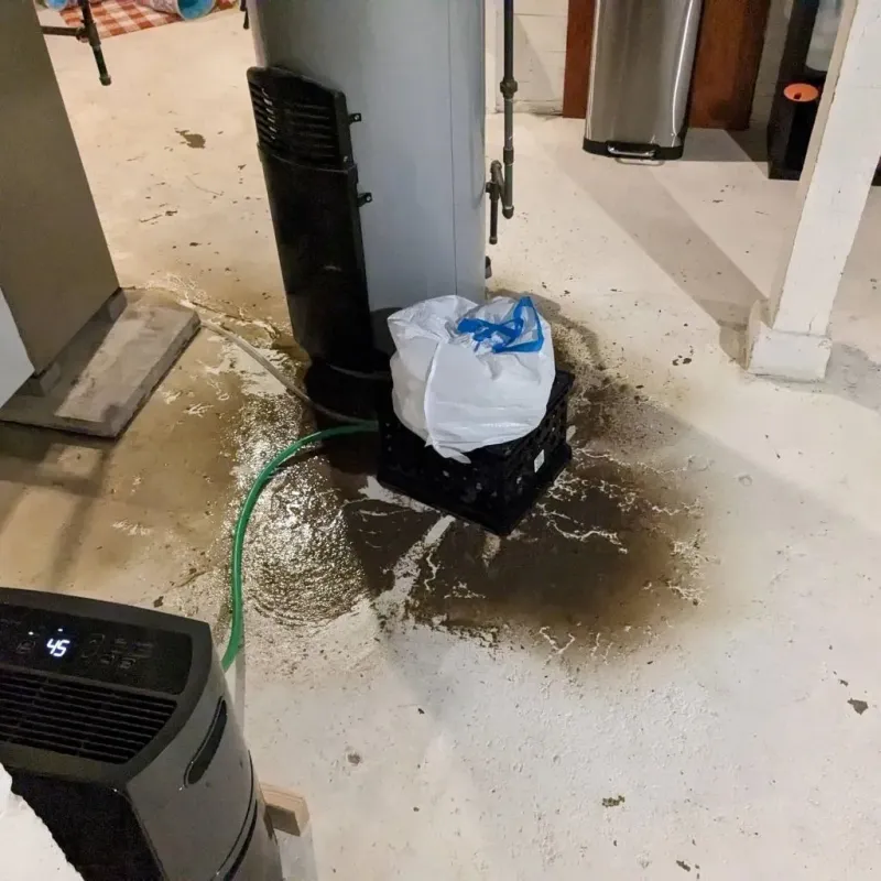 Sewage Backup Cleanup Service in Warren County, PA